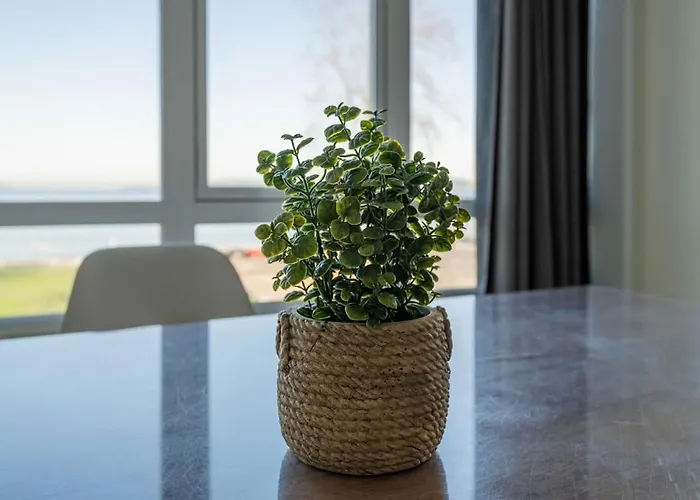 Primera Linea De Playa Samil Costa Con Garaje Incluido